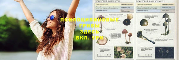прущая мука Алексеевка